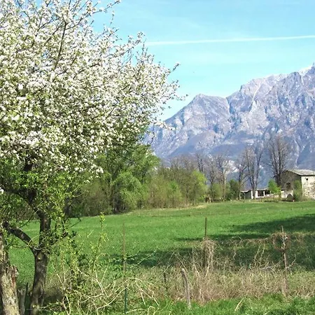 Villa Allegria Gialla Ferienvilla Mit Pool